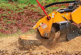 Best Organic Lawn Care Solutions  in Manorville, NY