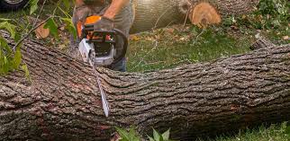 Best Artificial Turf Installation  in Manorville, NY